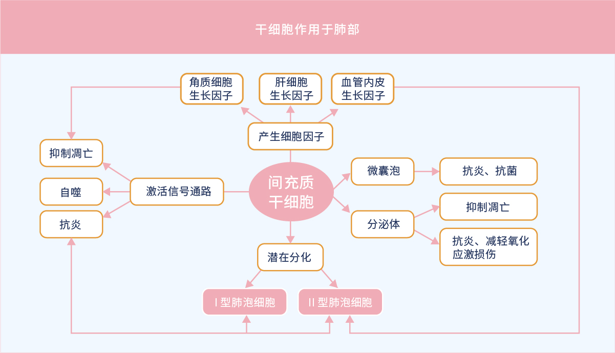 免疫提升方案-pc-08.jpg